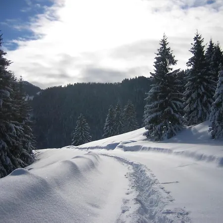 4 Sterne Erkerwohnung Mit Dem Panoramablick Sauna Spulmaschine Neues Bad Wlan * Oberaudorf